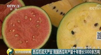 中国吃瓜群众视频,短视频中的社会现象与网络文化