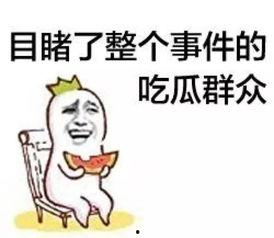 吃瓜群众 卖瓜贩子,吃瓜群众与卖瓜贩子的市井传奇