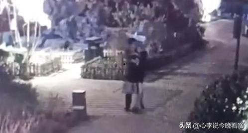 太原吃瓜事件视频,一场网络热议的街头冲突瞬间