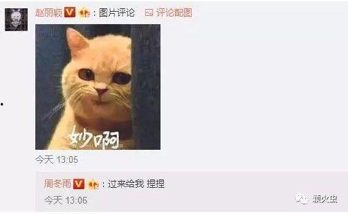求吃瓜怎么回复,如何优雅地参与网络热议