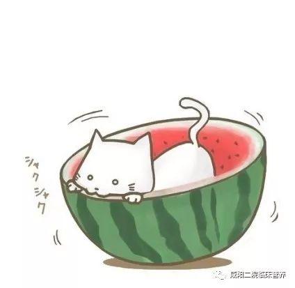 动画土肥圆吃瓜,一场爆笑的夏日狂欢