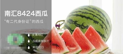 当个合格的吃瓜,如何成为一名合格的“瓜农”