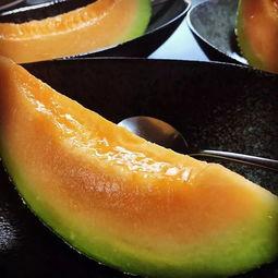 韩国今年吃瓜,年度吃瓜大事件盘点